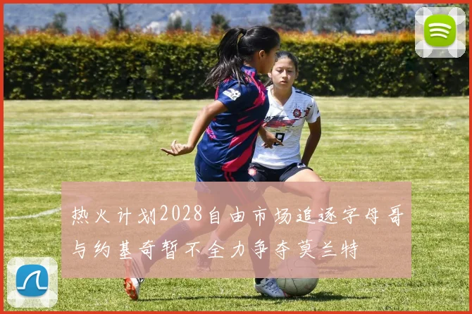 热火计划2028自由市场追逐字母哥与约基奇暂不全力争夺莫兰特