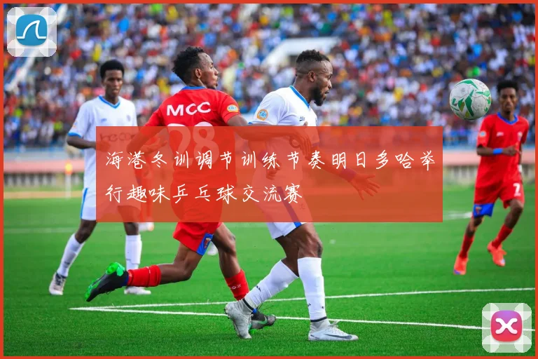 海港冬训调节训练节奏明日多哈举行趣味乒乓球交流赛