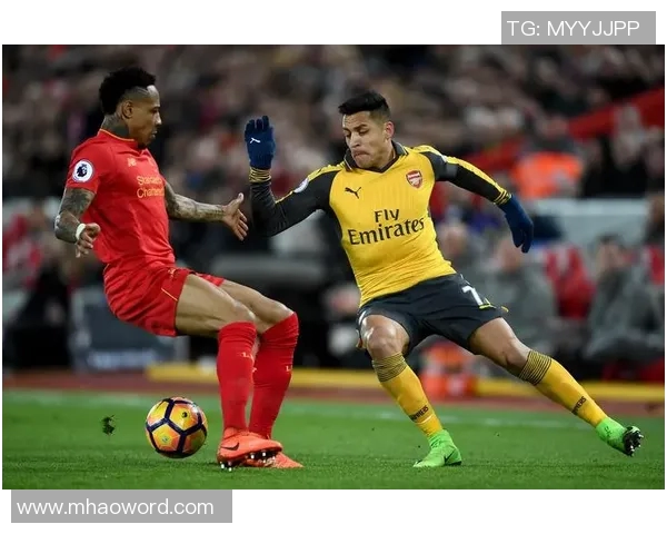 夏普谈休赛期训练重点聚焦提升三分球稳定性保持身体状态不变 夏普谈休赛期训练重点聚焦提升三分球稳定性保持身体状态不变