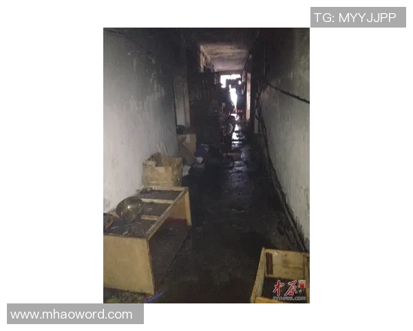 维尼修斯家中火灾调查揭示地下室桑拿房成起火源头 维尼修斯家中火灾调查揭示地下室桑拿房成起火源头