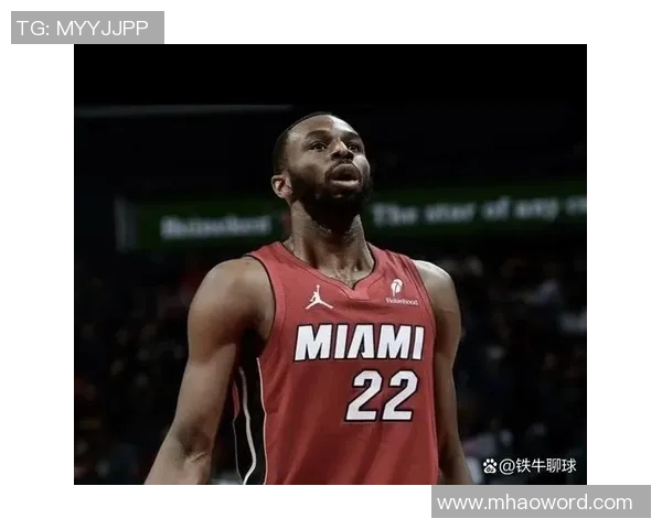 30天30队热：探讨希罗维金斯阿德巴约在球队中的角色与定位