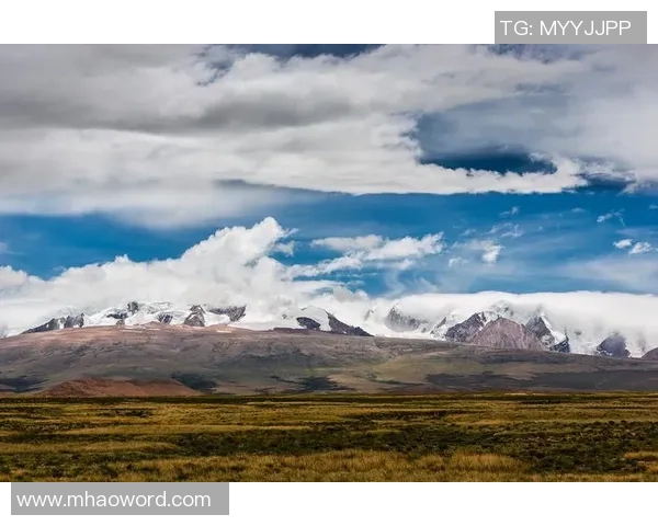 王秋明谈高原适应性问题强调自我反思与客观因素的平衡分析 王秋明谈高原适应性问题强调自我反思与客观因素的平衡分析
